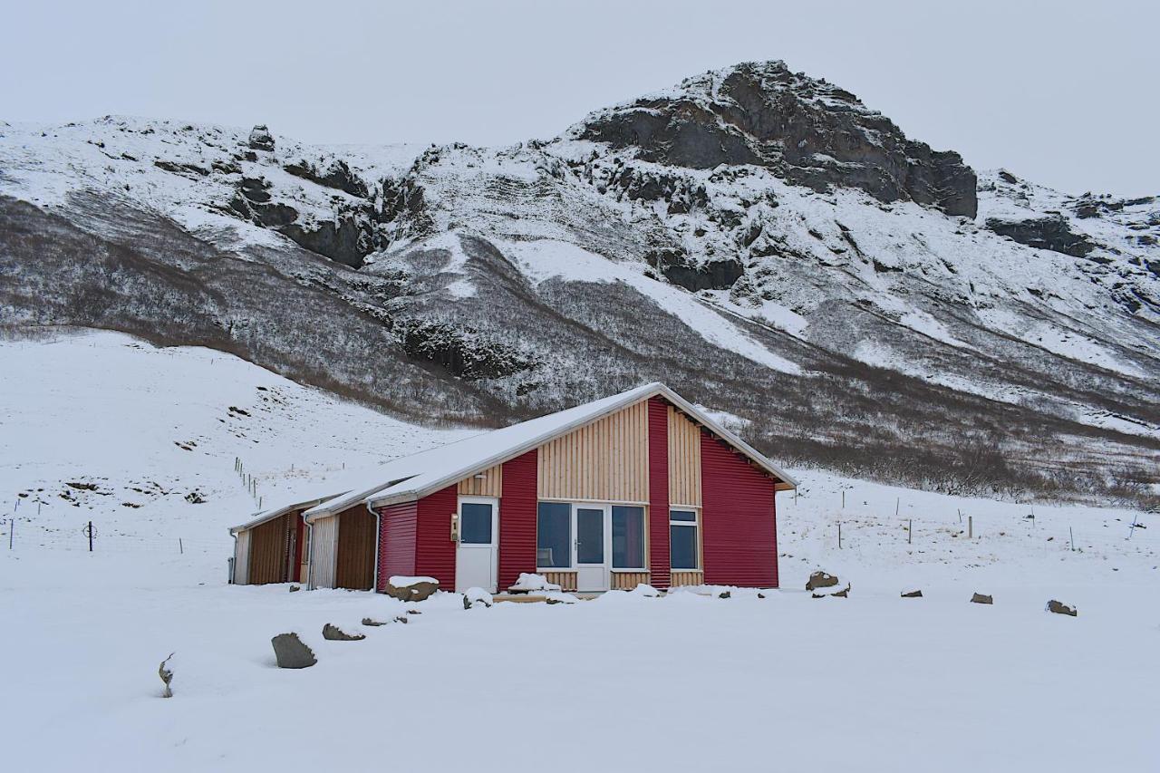 Motel The Potato Storage Svinafell Exterior foto